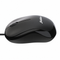 Mouse y Teclados