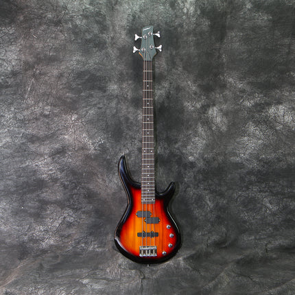 Bajo Eléctrico Fiddler Sunburst + Amplificador 20W